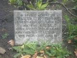 image of grave number 51929